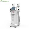 Buy cheap Body Weight Loss Sculpting Slimming Freeze Fat 4 Handpieces Cold Lipolysis Criolipolisis weight loss from wholesalers