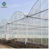 Buy cheap Plastic Multi Span Greenhouse Saw Tooth Roof Ventilation from wholesalers