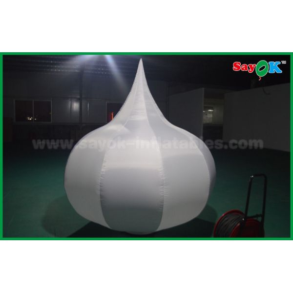 Advertising Vegetable / Onion Custom Inflatable Products Print Logo