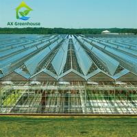 Buy cheap ODM Industrial Agricultural Glass Greenhouse product