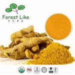 Herbal Turmeric Root Extract Powder 95 % Turmeric Curcumin