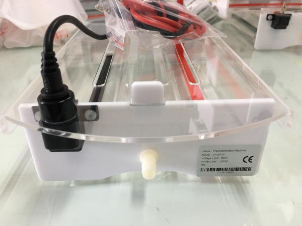 Buy cheap Stable Gel Electrophoresis Equipment Gel Electrophoresis Kit CE / ISO Approved from wholesalers