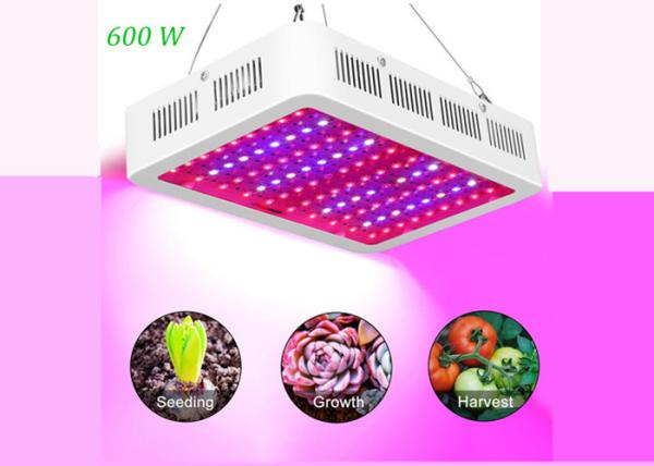 Buy cheap 31cm 7200lm Full Spectrum LED Grow Lights 600 Watt Red Blue White UV from wholesalers