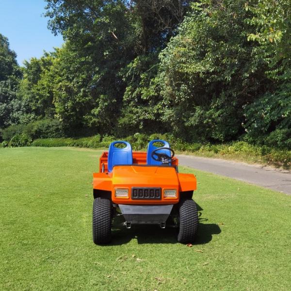 Buy cheap New Design 72V Electric Utility Buggy With Aluminum Cargo from wholesalers