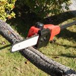 Pole Saw 6-Inch Cordless 300cm Max Reach Electric Pole Saw For Tree Trimming