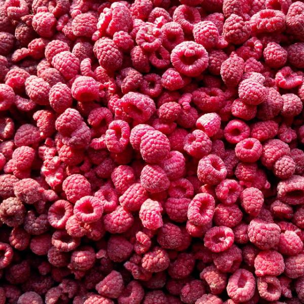 Buy cheap Whole/Crumble IQF Frozen Fruit / Raspberry Bulk Packing 10kgs/12.5kgs from wholesalers