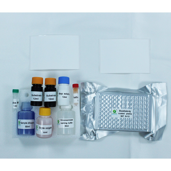 Canine Brucellosis Antibody ELISA Veterinary Test Kit Bovine Goat Sheep Pig Dog 96Wells/Kit