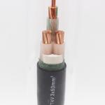 Low Voltage 0.6/1KV Flame Retardant XLPE Insulation Cable for Industrial