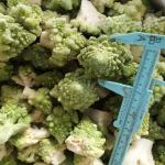 OEM Premium Quality IQF Individually Quick Freezing Frozen Romanesco Florets