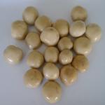 Brine Preservation Seasoned Canned Champignon Mushroom For Bakery / Supermarket