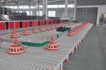 PSF-01 50mm Plastic Slat Floor Poultry Broilers For Piglet