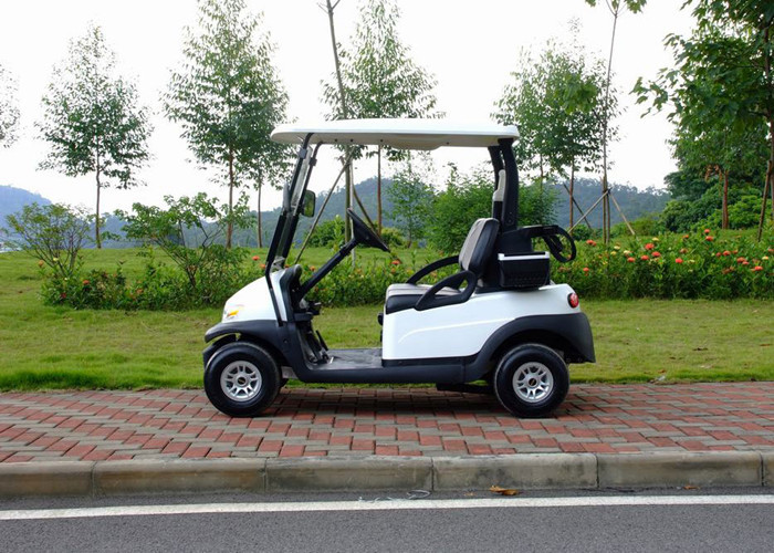 Two Passenger Electric Motor Golf Cart Red Color With Plastic Bodywork