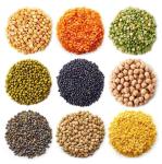 0.55KW Industrial Dry Blender Spices Dry Powder Mixing Machine 130L Volume