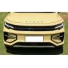 Buy cheap RADAR RD6 Pure Electric Pickup Truck High Power Electric Cars from wholesalers