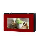 Anti-corrosion box wall mounted 55inch 1920*1080 Resolution Outdoor Digital