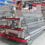 Free Design Provide A Type Layer Chicken Cage