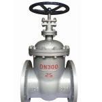 Standard Casting Stainless Steel Gate Valve with ANSI JIS DIN GB Standard Design