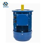 1500RPM MS Series 5.5KW 7.5KW 11KW 15KW Three Phase Asynchronous Motor Aluminum