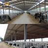 Buy cheap Q345B Prefabricated Steel Structure Poultry Shed Hot DIP Galvanized from wholesalers
