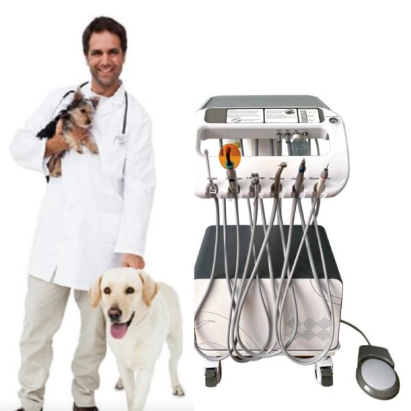 Buy cheap Veterinary Dental Equipment Pet Tooth Treatment Machine Move At Will Vet Use Pet Dental Treatment Unit With Compressor from wholesalers