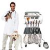 Buy cheap Veterinary Dental Equipment Pet Tooth Treatment Machine Move At Will Vet Use Pet Dental Treatment Unit With Compressor from wholesalers