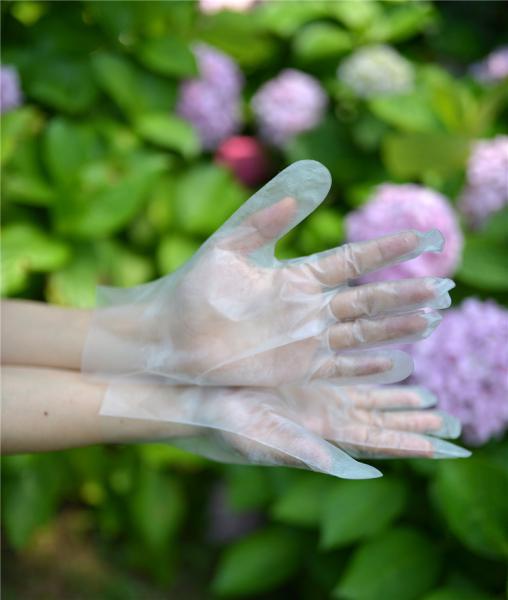 Buy cheap Transparent Cleaning 0.8g/Piece Disposable Hdpe Gloves from wholesalers