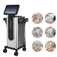 Buy cheap 300W RF Microneedling Machine 6 In 1 Multifunctional Skin Care Machine product