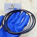 Piston Ring Set 103mm 32009299 32009213 32009210 32003226 32009214 320/09299 320