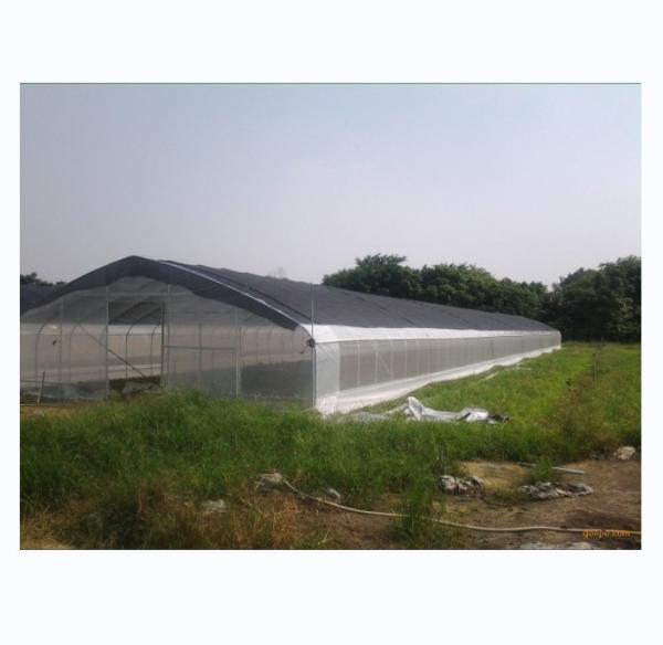 Buy cheap 150/200micro Film High Tunnel Agricultural Greenhouse for Tomato Hydroponic Growing from wholesalers