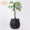 Buy cheap Weather Resistant Decorating Clay Flower Pots Drainage In Bottom from wholesalers