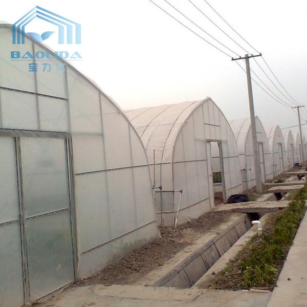 Tropical Plastic Film Cross Top Sawtooth Greenhouse Single Span Tunnel Plastic