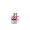 Buy cheap Anti Corrosion Cellophane Gift Bags Light Weight With High Transparency from wholesalers