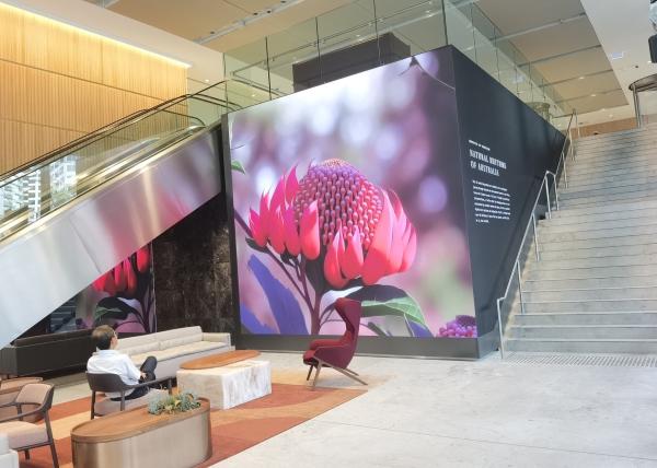 Buy cheap Die-Casting Aluminum Rental Screen RGB Outdoor HD Waterproof LED Video Display , P8 Full Color LED TV Wall Screen from wholesalers