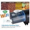 Buy cheap LCD 200ml Smart Automatic Fish Feeder Wifi Aquarium Feeder RoHS from wholesalers