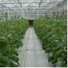 Buy cheap Multi-Span 4 Sunroom Tempered Venlo Glass Greenhouse Fully Automated Ventilation from wholesalers