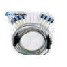 Buy cheap 8F LC/APC Fiber Optic Pigtail from wholesalers