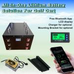 Lithium Golf Cart Deep Cycle Batteries 36V 60Ah 100A LFP LiFePO4 Battery Pack