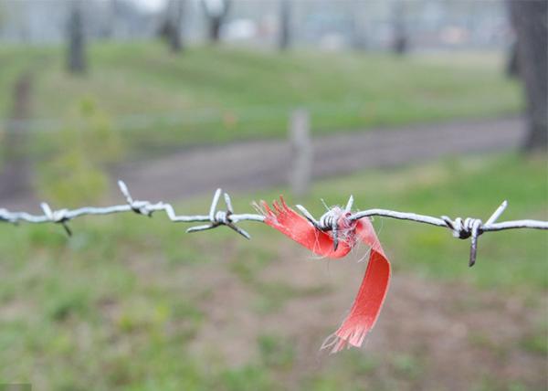 Buy cheap Garden Anti-Theft Single Strand Hot Dipped Galvanized Steel Barbed Wire from wholesalers
