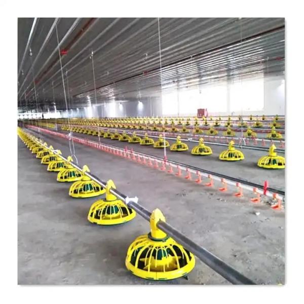 Buy cheap Complete Automatic Poultry Farm Equipment Broiler Chicken Cage T607 Controller from wholesalers