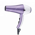 2200W Negative Ion Low Radiation Hair Dryer With Concentrator