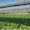 Buy cheap Multi-Span Film Greenhouse for Vertical Farming Package Size 50.00cm * 60.00cm * 50.00cm from wholesalers