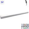 Buy cheap LED Tri Proof Light For 2FT 20W 5 Years Warranty Warehouse, Subway, Workshop, Supermarket, Shopping Mall from wholesalers