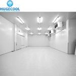 Industrial Logistics Fish Freezer Construction for Frozen Food Seafood Meat