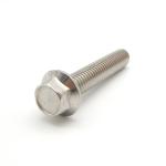 M3-M56 Stainless Steel Best Price Din 6921 Hex Head Flange Bolt