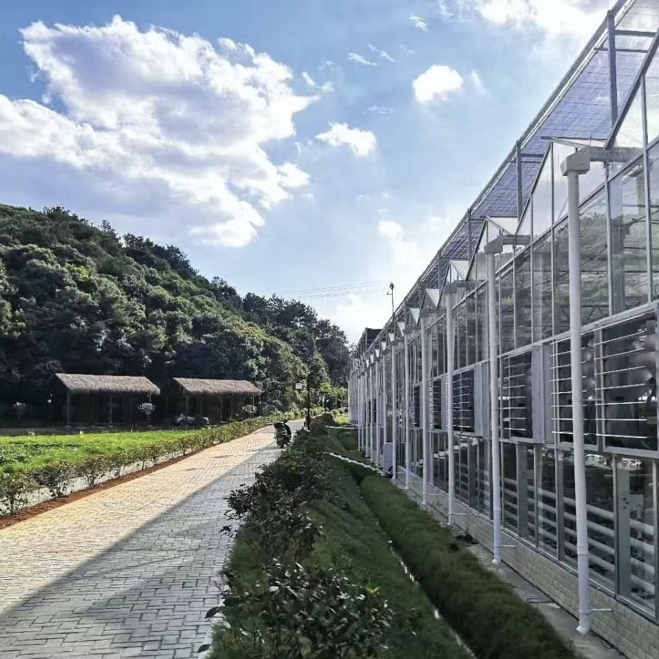 Vibrant Garden with Glass Greenhouse