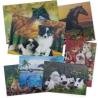 Buy cheap PLASTIC LENTICULAR PET 3D Lenticular Plastic Printing moving cards by 3d offset printer from wholesalers