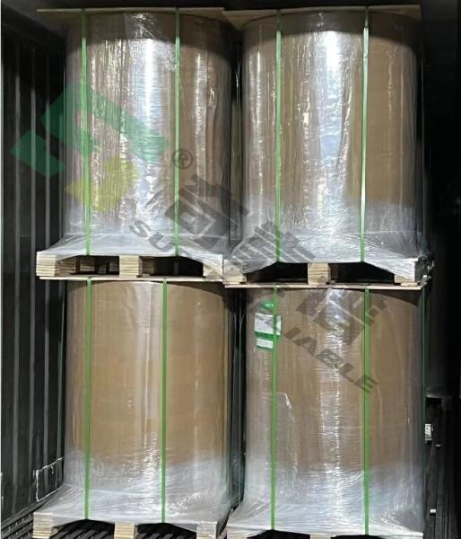 thermo sensitive Anti Freezing Low Temperature Adhesive Thermal Paper for