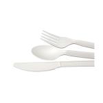 Composatable Biodegradable Free Spoon For Party Restaurant CPLA Disposable Spoon