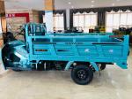 250CC Motorized Cargo Tricycle with 3 Wheel Motorcycle Trike Gasoline from