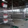 Buy cheap Egg Laying Hen Battery Cage System For Poultry Chicken Layer Ada from wholesalers